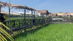 Sate 'Nggarai Tangi' di Pinggiran Sawah Mojokerto, Begini Khasiatnya untuk Pria Dewasa