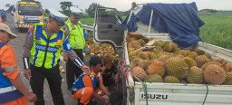 Pecah Ban, Mobil Pikap Muatan Durian Terguling di Tol Surabaya Mojokerto