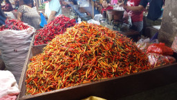 Harga Cabai di Surabaya Hari Ini Turun Drastis, Harga Ayam Masih Tinggi