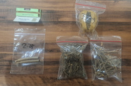 Sepi Klien, Pengacara di Surabaya Edarkan Ganja: Ini Barang Bukti dan Identitasnya