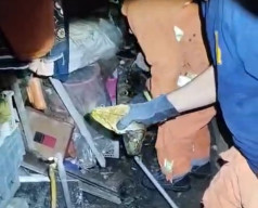 Ular Piton 5 Meter Gegerkan Warga Tandes Surabaya