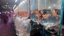 Pasar Ikan Gunungsari Surabaya Ramai di Bulan Ramadhan, Omzet Pedagang Naik Signifikan