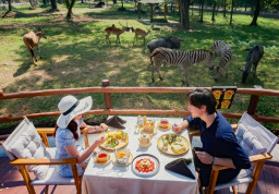 Wisata Solo Populer 2026: Aksesnya Mudah, Murah dan Asyik Buat Nongkrong