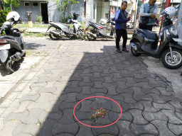 Pria Tewas Dibacok di Sidotopo Surabaya, Warga Langsung Ritual Tabur Bunga