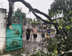 Angin Kencang Landa Mojokerto, Bikin Pohon Tumbang Timpa Rumah dan Sekolahan