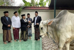 Momen Bupati Subandi Alihkan Bantuan Sapi Presiden ke Wilayah Jabon Sidoarjo