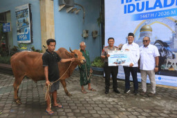 Pelindo Regional 3 Sebar 209 Hewan Kurban untuk Warga Ring 1 Pelabuhan
