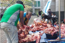 LDII Jember Tebar Ribuan Daging Kurban ke Warga Kurang Mampu dan Nonmuslim