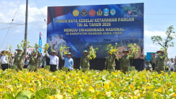 Panen Raya Kedelai di Nganjuk, Jadi Model Percepatan Swasembada Nasional