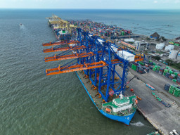 Dukung Fiskal Nasional, Pelindo Terminal Petikemas Catatkan Kontribusi Nasional hingga Rp1,73 T