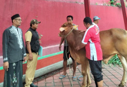 Pemkab Pasuruan Distribusikan Ratusan Hewan Kurban