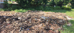 Viral Sampah Diduga dari Pasar Tanjung Jember Bikin Warga Geram, Begini Tanggapan DLH