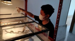 Kisah Inspiratif Rizky, Pemuda Surabaya yang Sukses Ternak Kadal