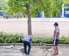 Viral Lansia Gasak Tiang Rambu Dishub di Surabaya, Ditangkap Usai Kabur ke Lamongan