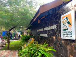 Jadi Rumah Puluhan Satwa Liar, Kebun Raya Mangrove Surabaya Cocok untuk Liburan