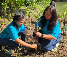 FKPPH Jatim Tebar Semangat Kepedulian Lingkungan Lewat Aksi Tanam Mangrove