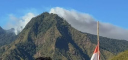 Hutan di Gunung Biru Mojokerto Terbakar, BPBD hingga Polisi Diterjukan