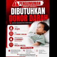 Urgent! Balita Sakit Anemia Berat di Mojokerto Butuh Bantuan Donor Darah O Bombay Rhesus Positif