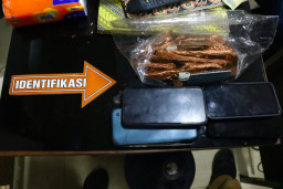 Sekuriti dan Polisi Ringkus Dua Pria Pencuri Kabel Tembaga di Kawasan Industri Gresik
