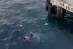Aksi GM Pelindo Maumere Terjun ke Laut untuk Selamatkan Penumpang