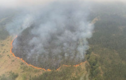 Kebakaran Hutan di Gunung Arjuno-Welirang, Jalur Pendakian Ditutup