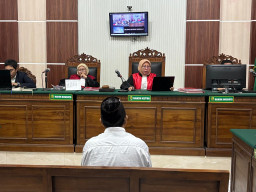 Ketika Higgs Games Island Merusak Keluarga