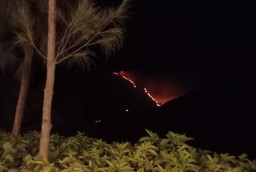 Kebakaran Bromo Makin Meluas, Kini Mengarah ke Puncak B29 Lumajang