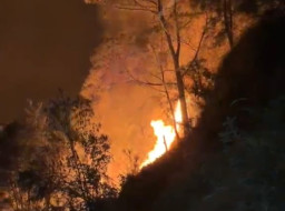 Kebakaran Bromo Meluas ke Puncak Seruni Point, Jalur Wisata Ditutup Total
