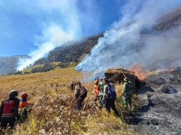 Kawasan Bromo Dilanda Karhutla, Ini Pintu Masuk Wisata yang Masih BIsa Dilalui