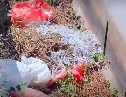 Limbah Medis Berserakan di Exit Tol Tambaksumur Sidoarjo, Disebut dari RSUD Eka Candrarini