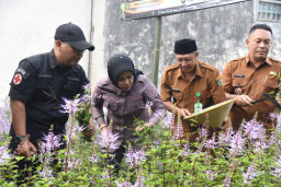 UMKM Herbaroso Sidoarjo Sulap Pekarangan jadi Cuan dan Obat Ginjal