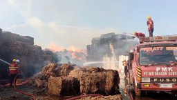 Bahan Baku Tisu PT SPS di Sukoanyar Mojokerto Terbakar, 7 Mobil Pemadaman Dikerahkan