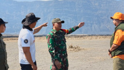 Karhutla Bromo Probolinggo Berhenti, Luasan Dampak Capai 1.120,3 Hektare