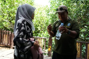 Wisata Mangrove Surabaya Berbenah Menuju Nol Sampah Plastik