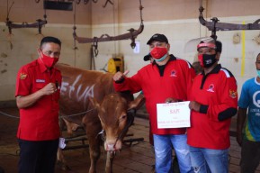 PDIP Surabaya Bagikan Daging Kurban ke Warga dengan Protokol Kesehatan