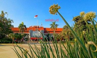 Dua Kandidat Calon Pengganti Risma Dimata Ketua RT Surabaya