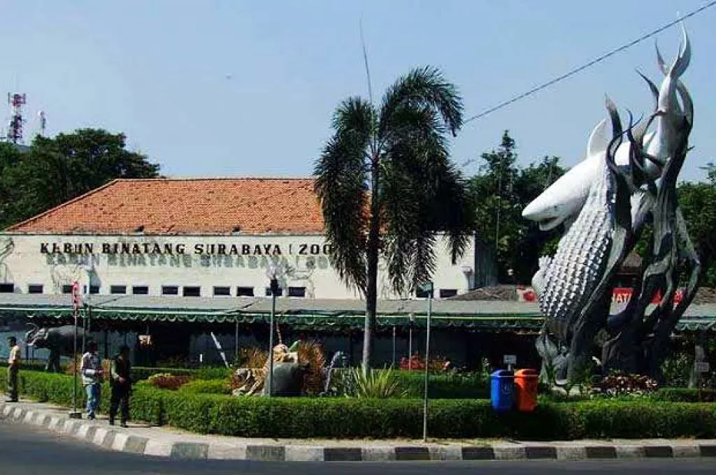 Antisipasi Virus Corona, Kebun Binatang Surabaya Ditutup Sementara