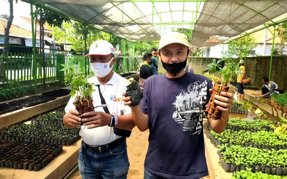 Masyarakat mengambil bibit tanaman