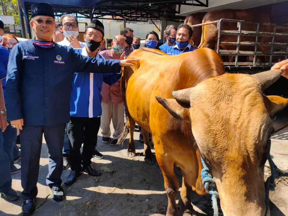 Sembelih 3 Sapi Limosin dan 12 Kambing, NasDem Surabaya: Tetap Terapkan Protokol Kesehatan