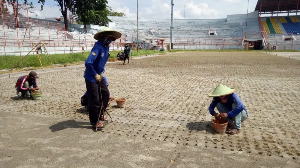 Penanaman rumput di Stadion Gelora 10 November Surabaya
