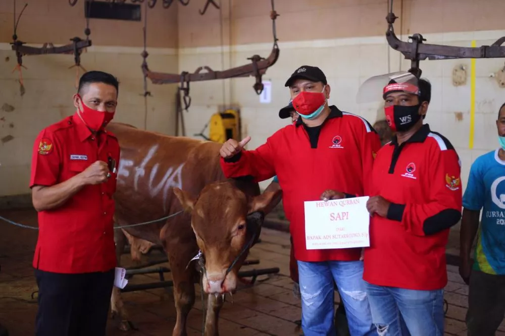 PDIP Surabaya Bagikan Daging Kurban ke Warga dengan Protokol Kesehatan