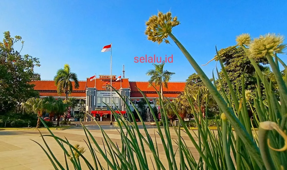 Dua Kandidat Calon Pengganti Risma Dimata Ketua RT Surabaya