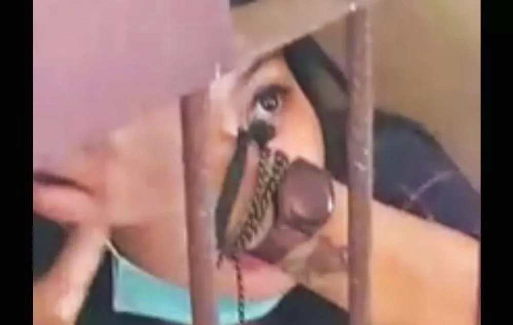 Viral Video Penangkapan Begal Cantik Asal Surabaya