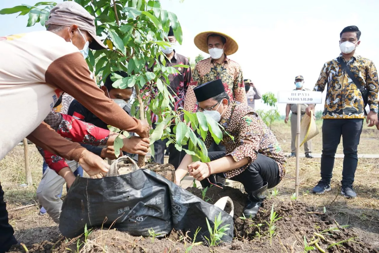Yuk! Berwisata di Kampung Kelengkeng Sidoarjo