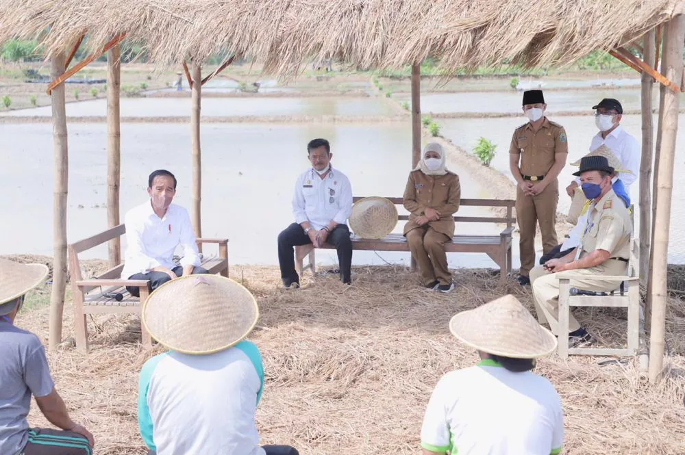 Kunjungi Lumbung Padi Jawa Timur, Presiden Jokowi Optimis Stok Beras Tercukupi Tanpa Impor
