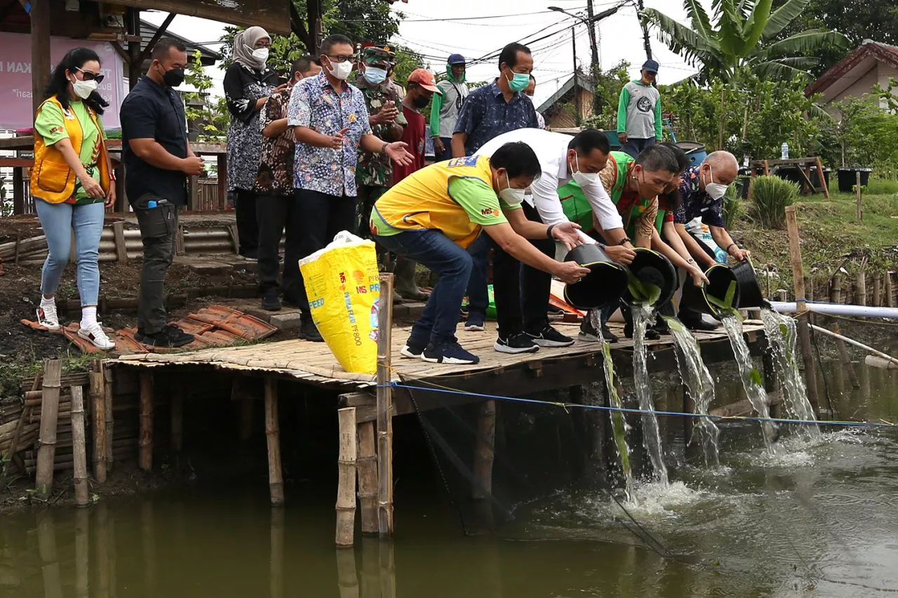 Pemkot Surabaya Tabur 7000 Benih Ikan Nila di Bozem Jemur Wonosari