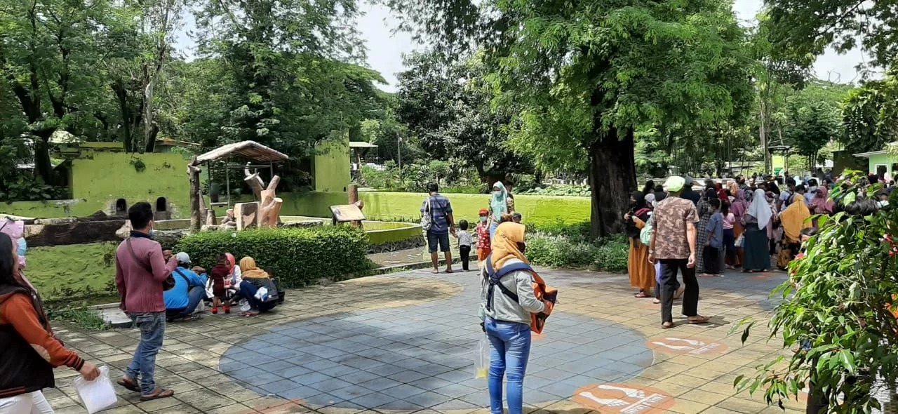 Masih Jadi Favorit, 10 Ribu Wisatawan Kunjungi KBS Pada Libur Tahun Baru Ini