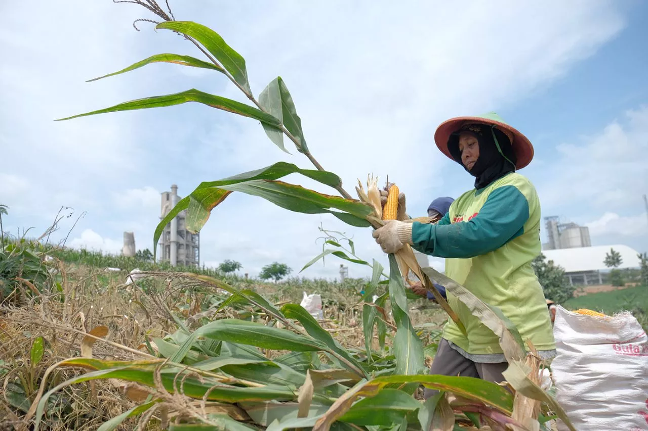 Semen Gresik Fasilitasi Petani Garap 119 Hektar Lahan Pertanian di Jawa Tengah