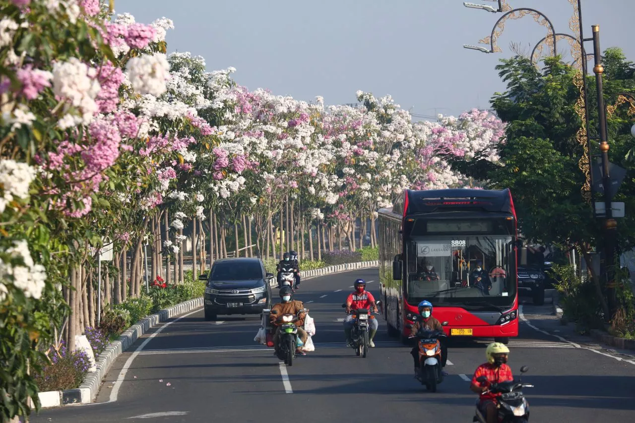 Melebihi Batas Minimal, Ruang Terbuka Hijau di Surabaya Capai 22 Persen