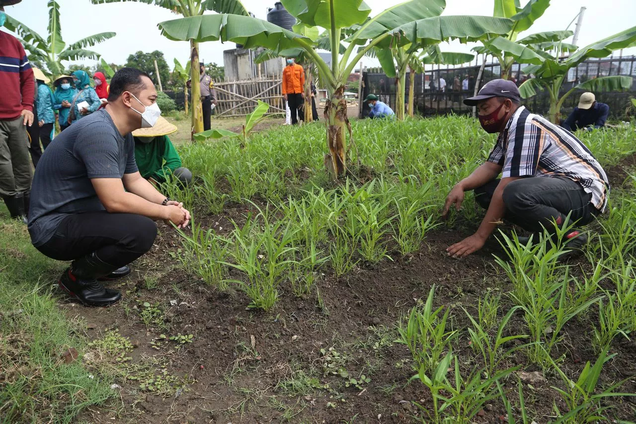 Lowongan Pekerjaan untuk Warga MBR Pada Program Padat Karya Pemkot Surabaya